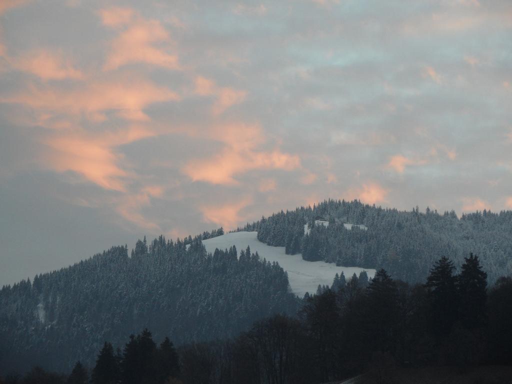 Lilly Dornbirn